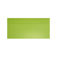 DL (220x110 mm)